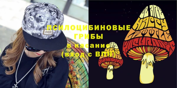 МДПВ Алексин