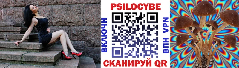 Галлюциногенные грибы Psilocybine cubensis Джанкой