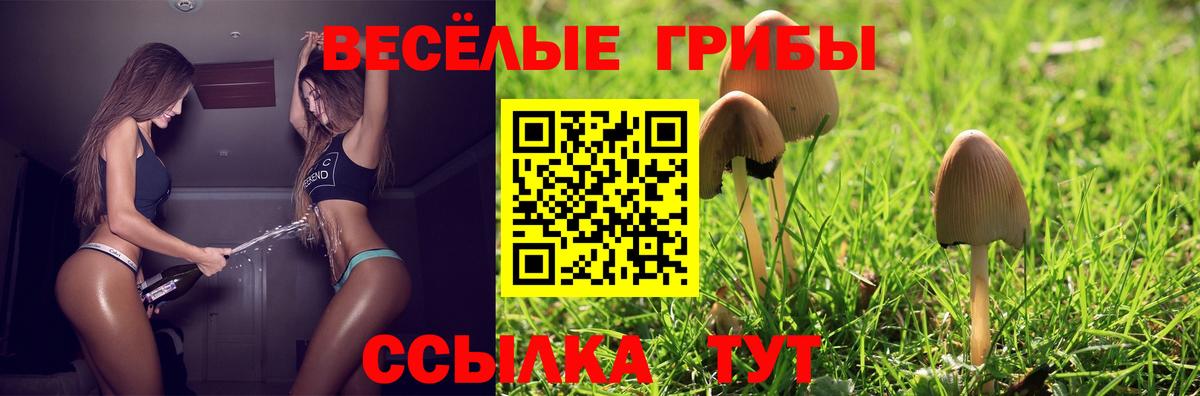 Джанкой  Псилоцибиновые грибы Cubensis  Вход с VPN 